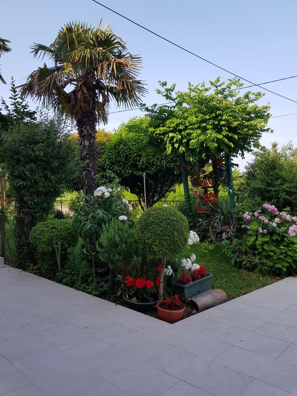 Villa Ivana Labin  Kültér fotó